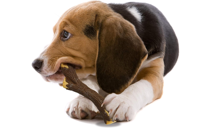 Nylabone Real Wood Stick Strong Dog Stick Chew Toy
