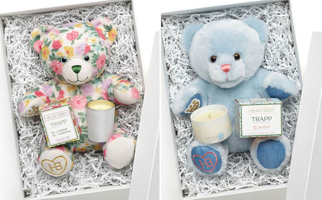Oh So Lovely Teddy Bear with Scented Candle