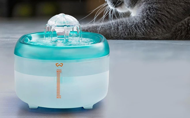 Pet Water Fountain