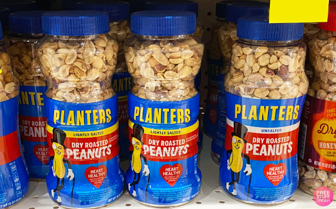 Planters Dry Roasted Peanuts Lightly Salted on a Shelf