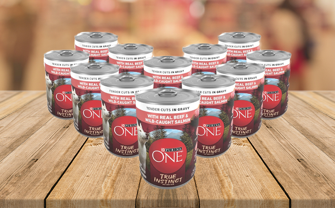 Purina ONE High Protein Wet Dog Food True Instinct Tender Cuts in Dog Food Gravy With Real Beef and Wild Caught Salmon