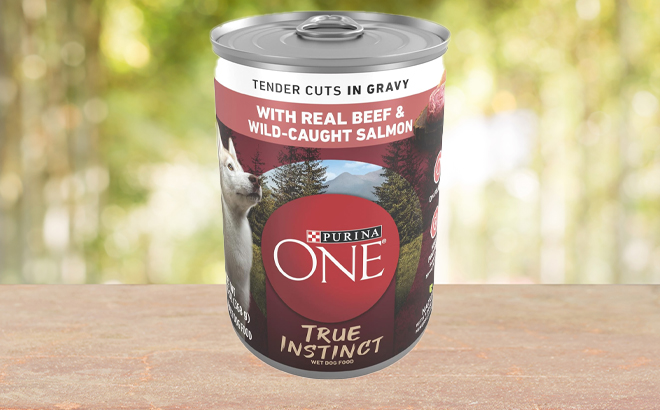 Purina ONE High Protein Wet Dog Food True Instinct Tender Cuts