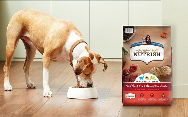Rachael Ray Nutrish Premium Natural Dry Dog Food 14 Pound Bag Next to a Dog on the Floor
