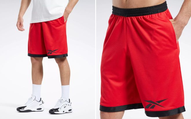 Reebok Basketball Mesh Shorts