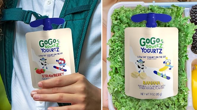 Strawberry and Banana Flavors of GoGo squeeZ Yogurt