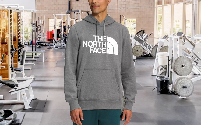 THE NORTH FACE Mens Half Dome Logo Hoodie