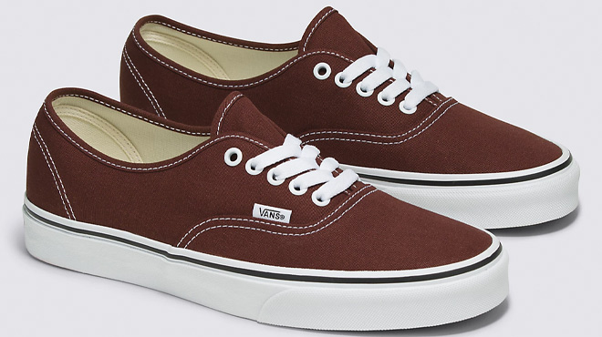 VANS Authentic Shoes in Bitter Chocolate