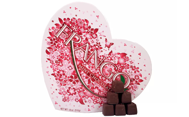 Valentines Day Heart Chocolate Box