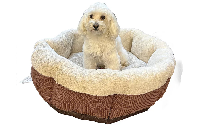 Woof Large Round Bed