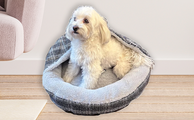 Woof Round Pet Bed with Cover with a White Dog Inside It