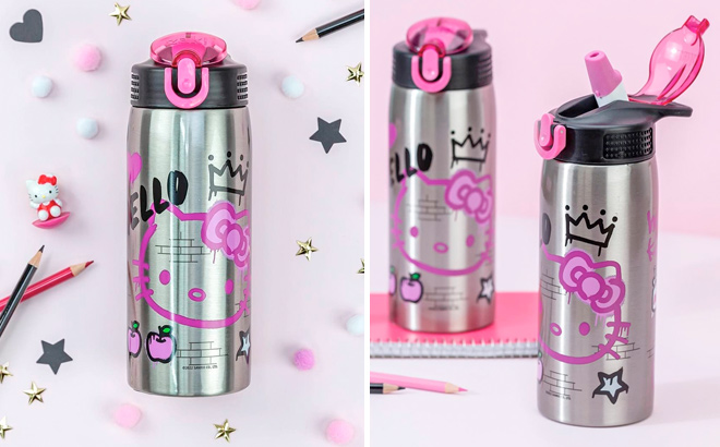 Zak Designs Sanrio Water Bottle for Travel and At Home Zak Designs Sanrio Water Bottle for Travel and At Home