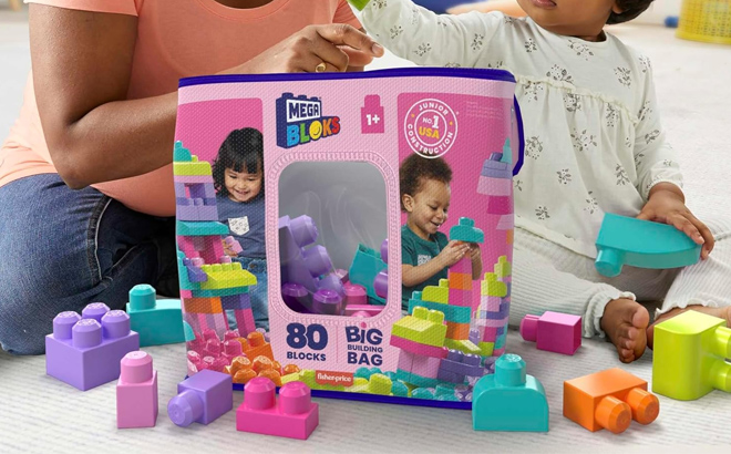 an Image of Mega Bloks Fisher Price 80 Piece Building Bag Pink Color