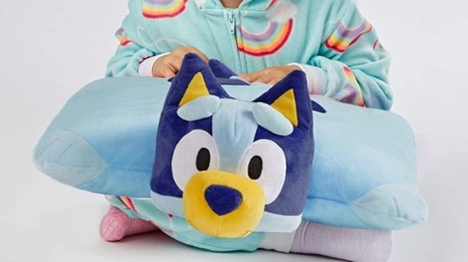 A Boy Holding the Bluey Stuffed Pillow Pet Plush Toy