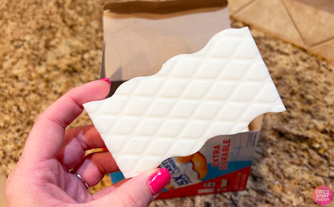 A Person Holding Mr Clean Magic Eraser