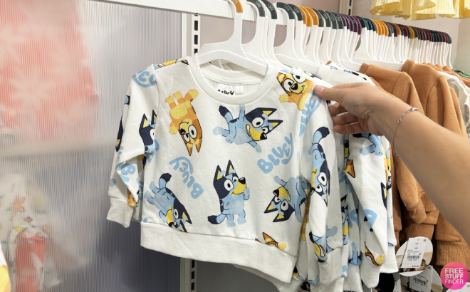 A Person Holding a Bluey Toddler Boys Printed Pullover Sweatshirt