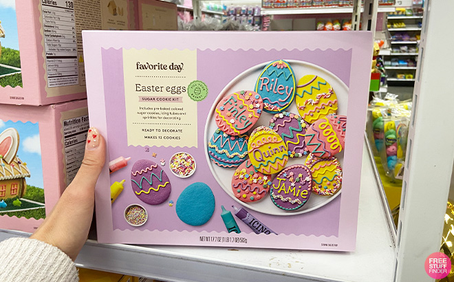 A Person is Holding Favorite Day Cookie Decorating Kit