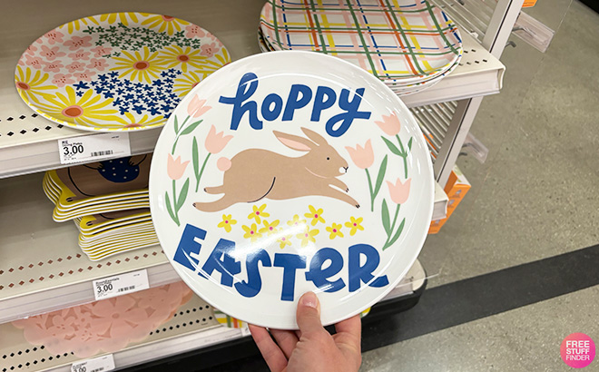 A Person is Holding Room Essentials Hoppy Easter Dinner Plate White