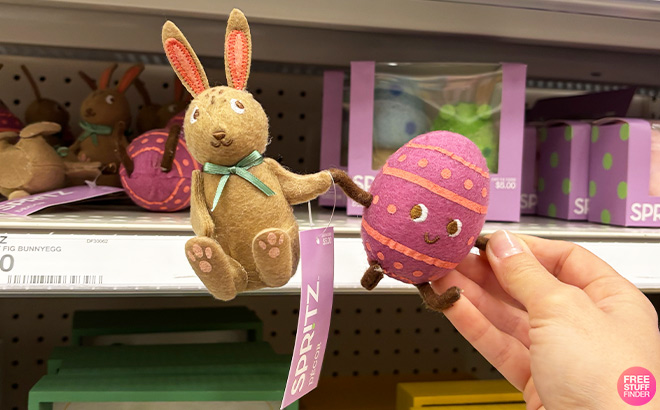 A Person is Holding Spritz Felt Easter Figural Decor Set Bunny Egg