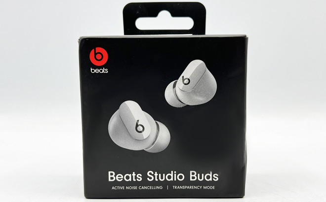 Beats Studio True Wireless Noise Cancelling Earbuds in grey