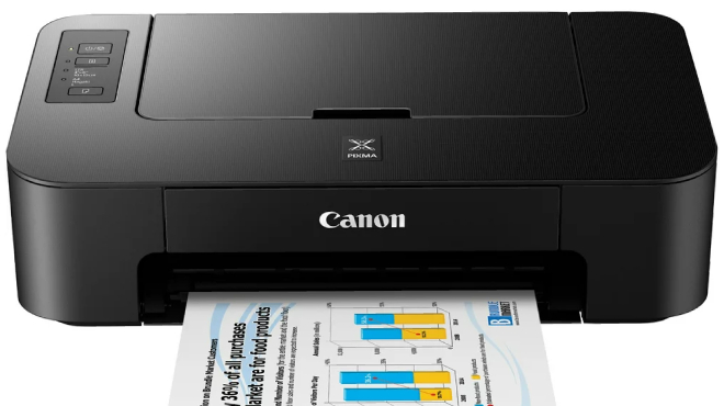 Canon Pixma TS202 Inkjet Printer Black Color