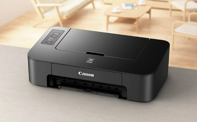 Canon Pixma TS202 Inkjet Printer