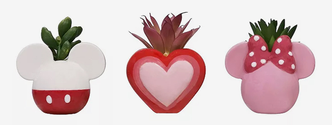 Celebrate Together Disneys Mickey Minnie Succulent Trio Celebrate Together Disneys Mickey Minnie Succulent Trio