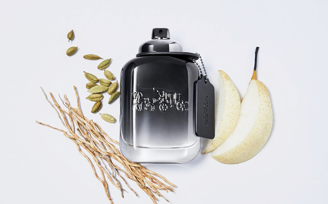Coach Mens Spray Perfume