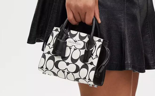 Coach Outlet Andrea Mini Carryall In Signature Canvas