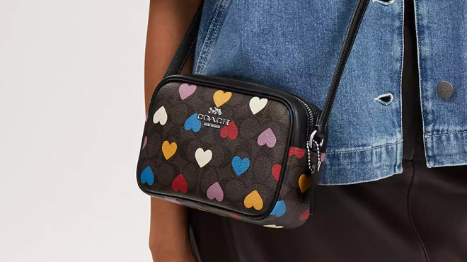 Coach Outlet Camera Bag In Signature Canvas With Heart Print in Silver Brown Black Multi