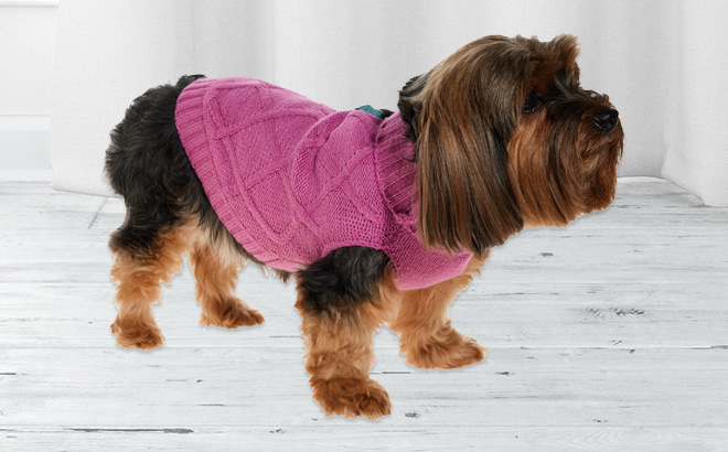 Dog is Wearing G by Giuliana Turtleneck Cable Knit Sweater for Dogs