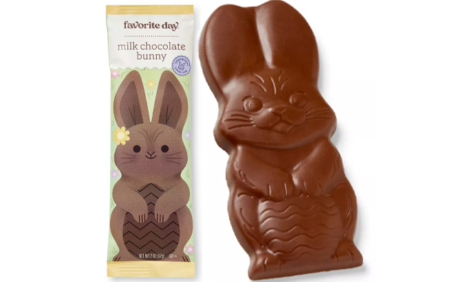 Favorite Day Chocolate Bunny