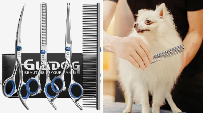 Gladog Professional 5 in 1 Dog Grooming Scissors Set with Shears