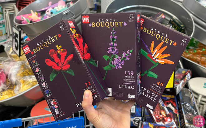 Hand Holding Block Tech Succulents Block Set at Five Below