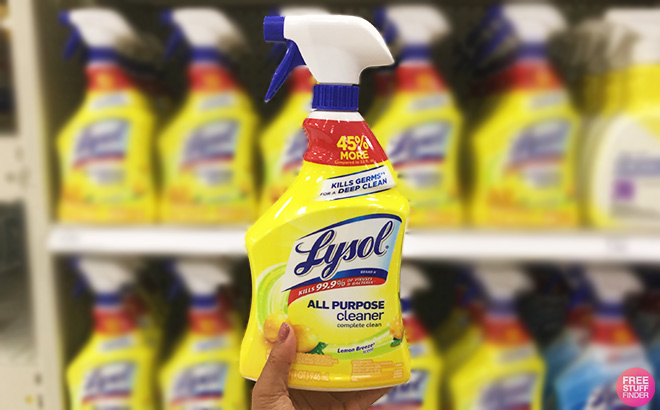 Hand Holding Lysol All Purpose Cleaner