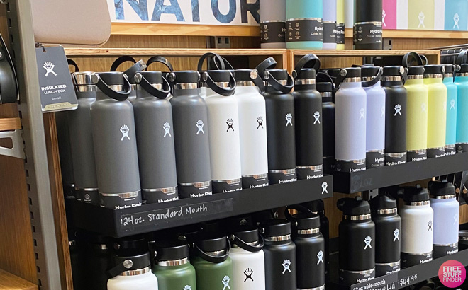 Hydro Flask 24 oz Standard Water Bottles on a Shelf. You Can Get One for Free with new TopCashBack Subcription