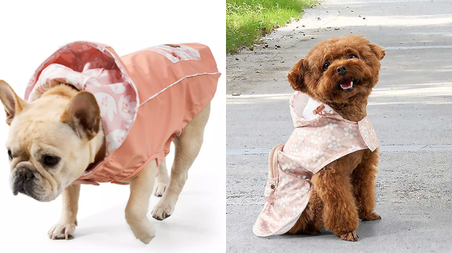 Koolaburra by UGG Pet Reversible Raincoat and Packable Raincoat
