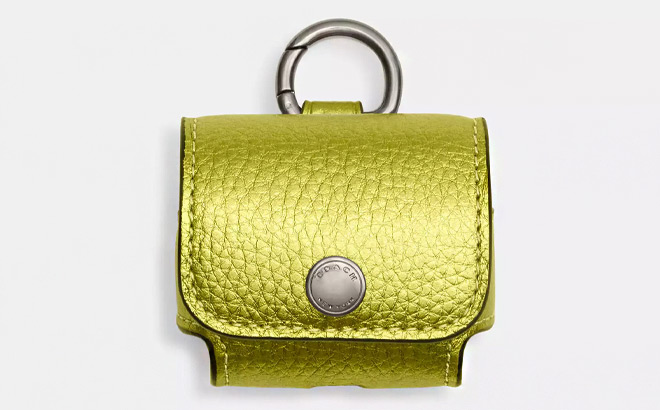 Large Wireless Earbud Pro Case