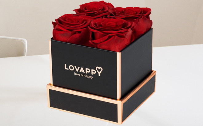 Lovappy Preserved Roses in A Box 4 Piece Set