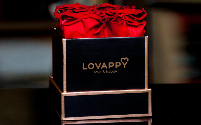 Lovappy Preserved Roses in A Box