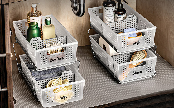 Madesmart 2 Tier Plastic Multipurpose Organizer
