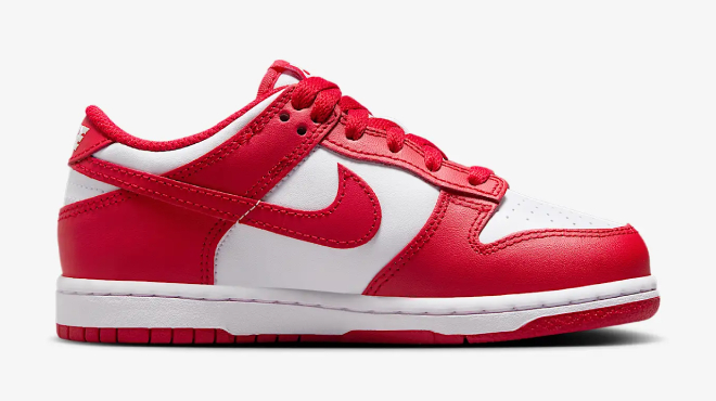 Nike Dunk Low Little Kids Shoes Nike Dunk Low Little Kids Shoes