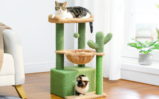 PAWZ Road Cactus 4 in 1 33 Inch Cute Indoor Cat Tree