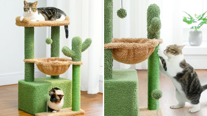 PAWZ Road Cat Cactus Scratching Tree PAWZ Road Cat Cactus Scratching Tree