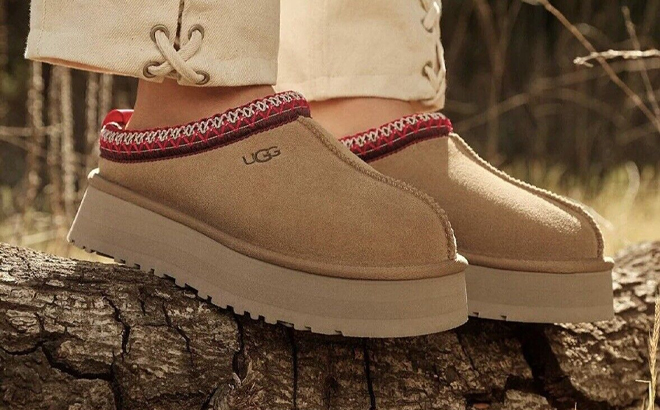 Person Wearing the UGG Tazz Platform Slippers in Brown