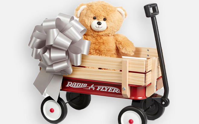Radio Flyer Toy Wagon Teddy Bear