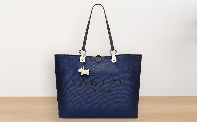 Radley London Tote in Blue