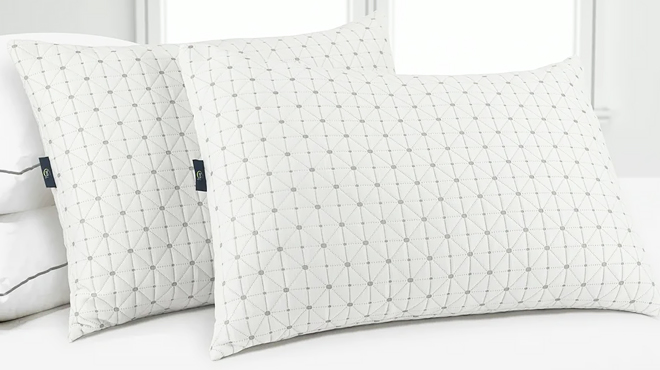 Sertapedic Charcool Bed Pillows 2 Pack Sertapedic Charcool Bed Pillows 2 Pack