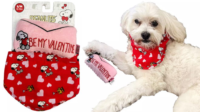 Snoopy Valentines Day Pet Bandana and Toy Set on the Left and a Puppy Wearing the Same Item on the Right