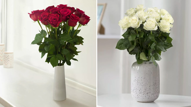 Spritz Fresh Cut Dozen Red and White Roses