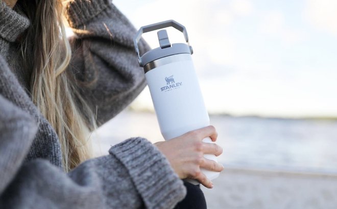 Stanley IceFlow Stainless Steel Tumbler